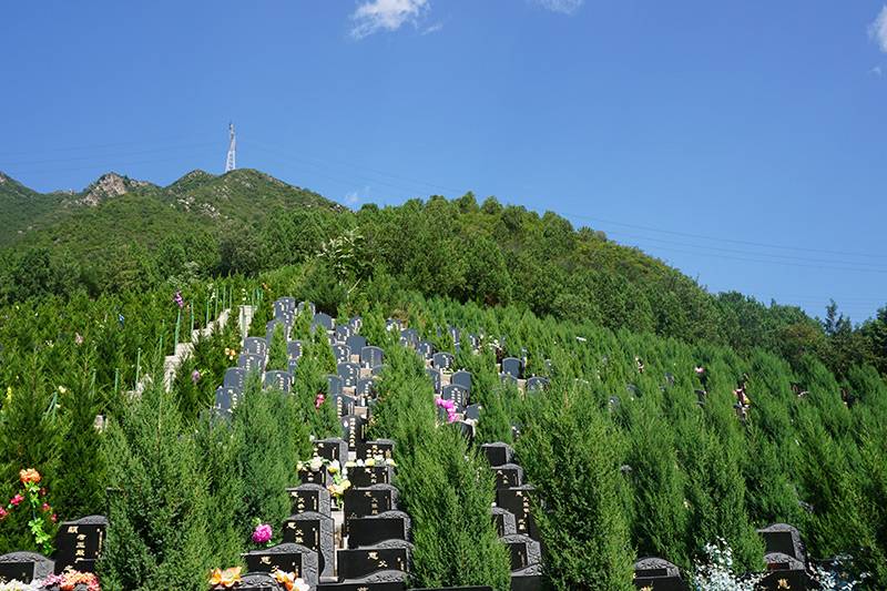 如何发讣告(什么时间发讣告) 如何发讣告(什么时间发讣告)